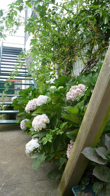 Azores Holidays House -B&B - Suites - Self Check-In Keyboard Ponta Delgada  Ngoại thất bức ảnh